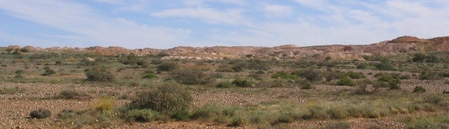 Coober Peedy