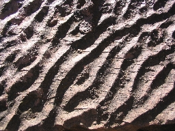 Fossil Waves